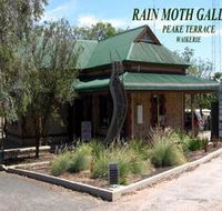 Rain Moth Gallery - Winery Find