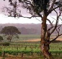 Yangarra Estate Vineyard - Winery Find