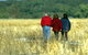 Onkaparinga River Recreation Park - thumb 0