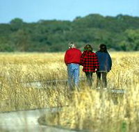 Onkaparinga River Recreation Park - Winery Find