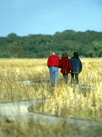 Onkaparinga River Recreation Park - Winery Find 0