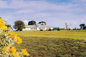 Lucindale Country Club - Winery Find 0