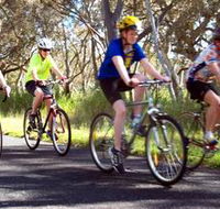 Penola Cycling Trails - Winery Find