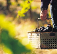 Burge Family Winemakers - Winery Find