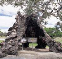 The Herbig Family Tree - Winery Find