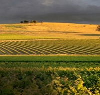 Kellermeister Wines - Winery Find
