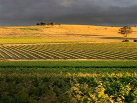 Kellermeister Wines - Winery Find 0