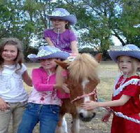 Amberainbow Pony Rides - Winery Find