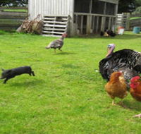 Echo Farm - Winery Find