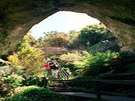 Engelbrecht Cave - Winery Find 0
