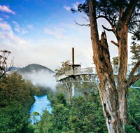 Tahune Adventures Tasmania - Winery Find