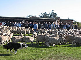 Curringa Farm - Accommodation And Farm Tours - Winery Find 0