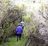 Jack And Hilda McArthur Walk - Winery Find