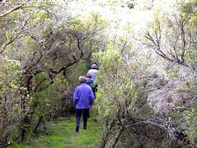 Jack And Hilda McArthur Walk - Winery Find 0