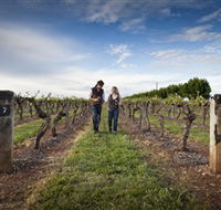Coonawarra Wineries Walking Trail - Winery Find
