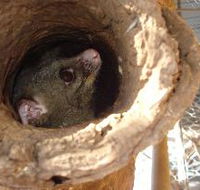 Mulga Sanctuary and Wildlife Park - Winery Find