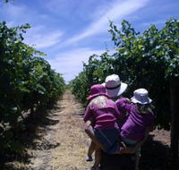 McLaren Vale Orchards - Winery Find