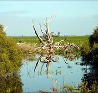Bool Lagoon Game Reserve and Hacks Lagoon Conservation Park - Winery Find