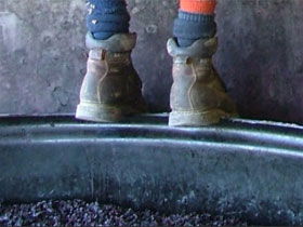 Fall From Grace - Winery Find 0