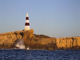 The Obelisk - Winery Find 0