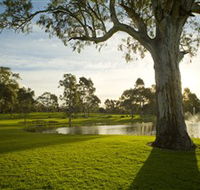Serafino Wines - Winery Find