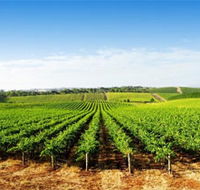 Aldinga Bay Winery - Winery Find