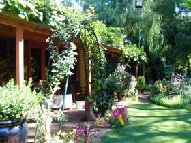 Rainforest Retreat - Winery Find 0