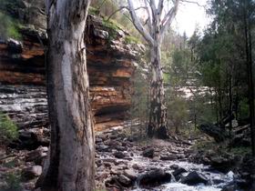 Mambray Creek SA Winery Find