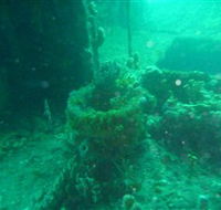Wallaroo Scuba Club - Winery Find