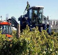 Ballast Stone Estate Wines Pty Ltd - Winery Find