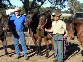 Coffin Bay Brumby Preservation Society Incorporated - Winery Find 0
