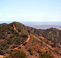 Arden Hills Props - Winery Find