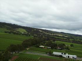South Plympton SA Winery Find