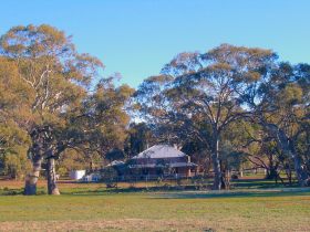 Flinders Ranges And Outback SA Winery Find