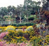 Wittunga Botanic Garden - Winery Find