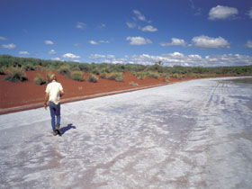Lake Gairdner National Park - Winery Find 0