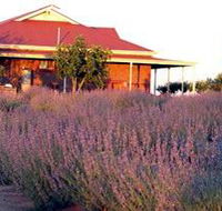 Bella Lavender Estate - Winery Find