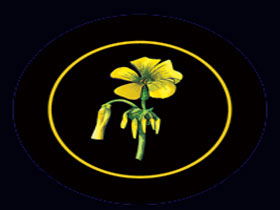 Battle Of Bosworth Wines - Winery Find 0