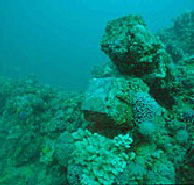 Adelaide's Underwater Heritage Trail - Winery Find