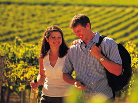 Normanville SA Winery Find