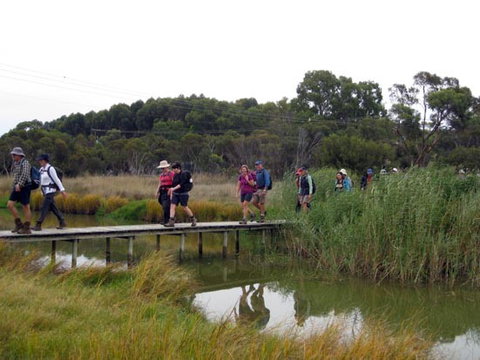 Lavender Federation Trail - Winery Find 1