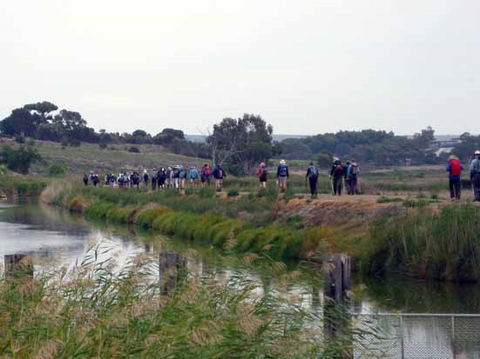 Lavender Federation Trail - Winery Find 2
