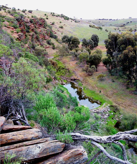 Lavender Federation Trail - Winery Find 3