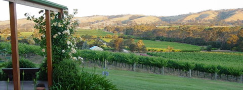 DogRidge - Winery Find 2