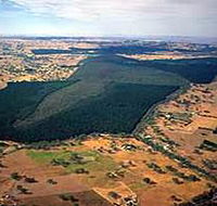 Mount Crawford Forest Reserve - Winery Find