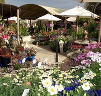 Serenity Nursery - Winery Find