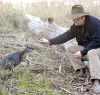 Sinclair's Gully - Winery Find