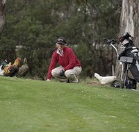 Tasmania Golf Club - The - Winery Find