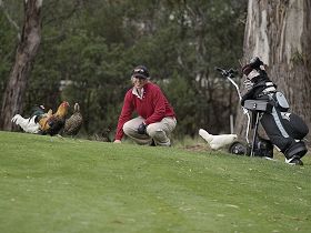 Tasmania Golf Club - The - Winery Find 0