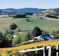 Freycinet Vineyards Pty Ltd - Winery Find